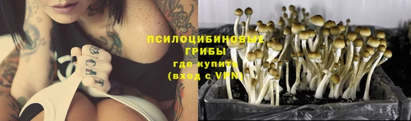 каннабис Абинск