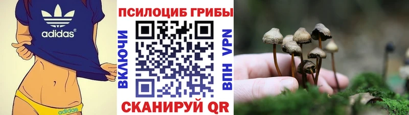 Галлюциногенные грибы GOLDEN TEACHER купить закладку Плавск